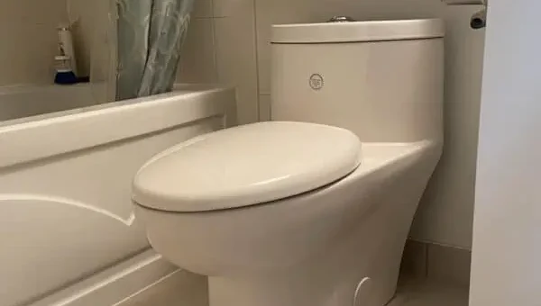 Toilet Installation